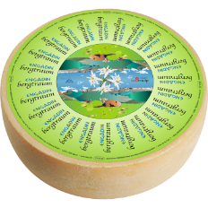 lesa-unsere-produkte-kaese-bergtraum