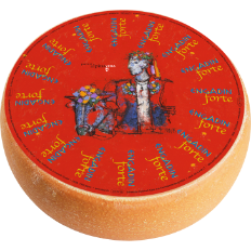 lesa-unsere-produkte-kaese-forte