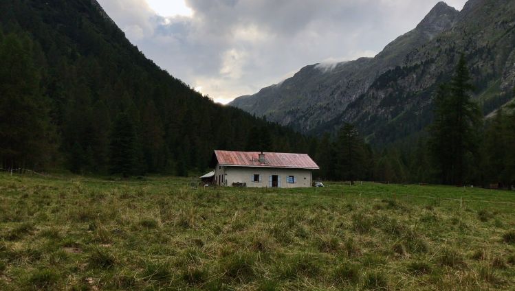 lesa-unsere-milchbauern-val-bever-bauernhof-teaser