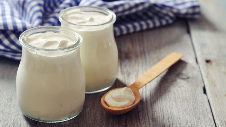 lesa-jogurt-stage-simple